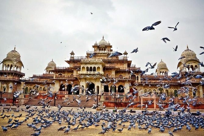 Full-Day Private Tour Heritage of Jaipur with Amber Fort - Amber Fort: give this stop your best attention