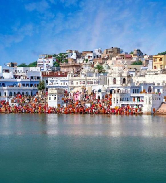 Fullday pushkar tour from jaipur with guid+camel/jeep safari - Brahma Temple and Pushkar’s religious heart