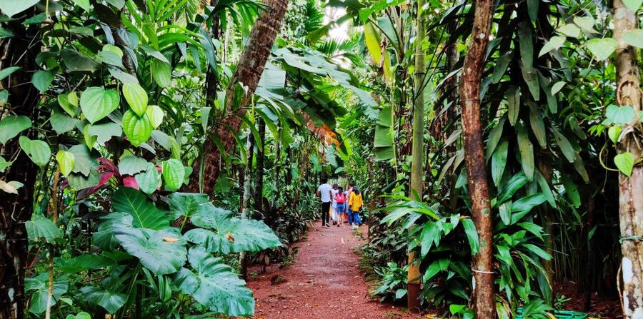 Goa: Private Full-Day Sightseeing Highlights Tour - Is $71 per person good value?