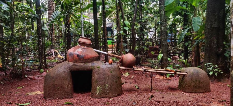 Goa: Private Full-Day Sightseeing Highlights Tour - The spice plantation in southern Goa