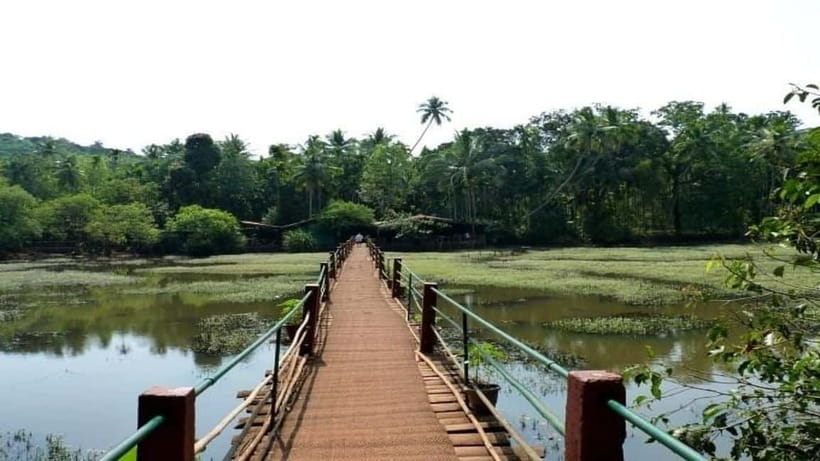 Goa Shore Excursions: Highlights of Goa - Tropical Spice Plantation: The Day’s Best Break
