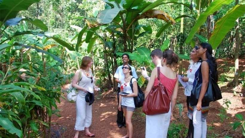 Goa Shore Excursions: Highlights of Goa - Fontainhas: Panaji’s Colorful Latin Quarter