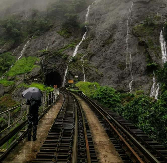 Goa: SIC Dudhsagar Waterfall and Spice Plantation Day Tour - Key points to know before booking