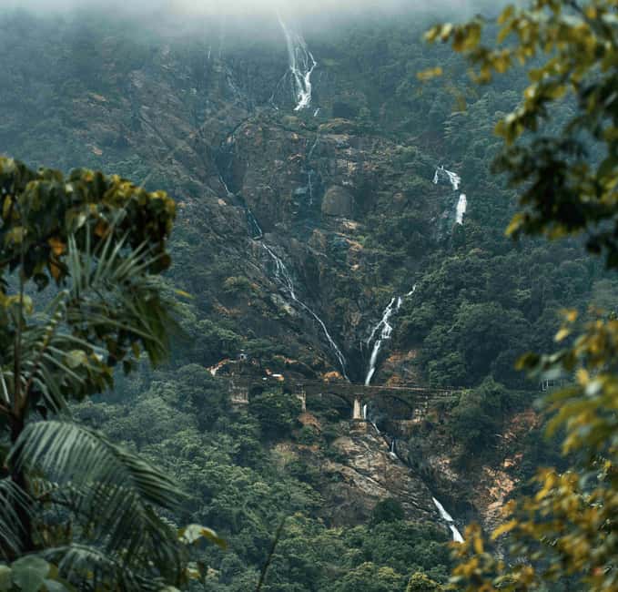 Goa: SIC Dudhsagar Waterfall and Spice Plantation Day Tour - Tropical Spice Plantation and a Goan buffet
