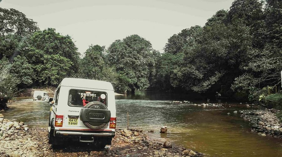 Goa: SIC Dudhsagar Waterfall and Spice Plantation Day Tour - English service and group organization