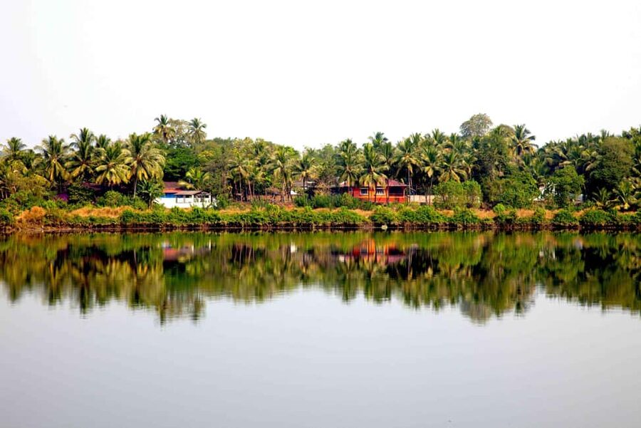 Goa: SIC Dudhsagar Waterfall and Spice Plantation Day Tour - Who should book this Goa excursion