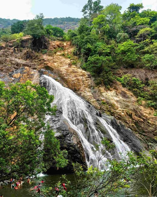 Goa: SIC Dudhsagar Waterfall and Spice Plantation Day Tour - The early pickup from Calangute, Baga, Candolim, or Arpora
