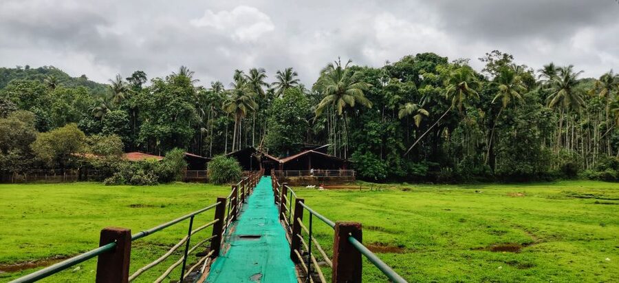 Goa: Spice Plantation Tour and Traditional Local Lunch - The experience at a glance