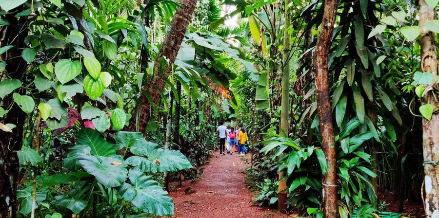 Goa: Spice Plantation Tour and Traditional Local Lunch - The Goan buffet is the main event