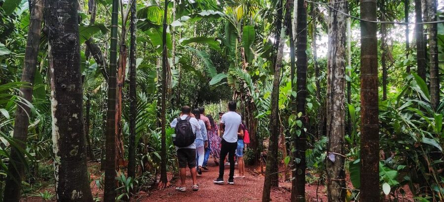 Goa: Spice Plantation Tour and Traditional Local Lunch - A possible Hindu temple stop