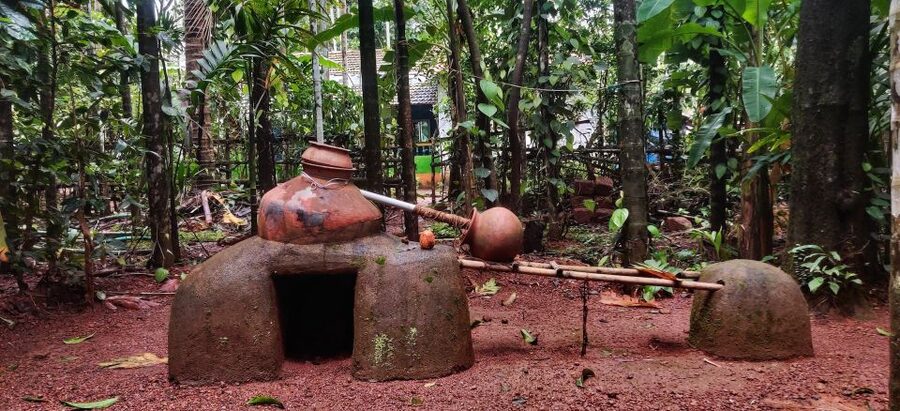 Goa: Spice Plantation Tour and Traditional Local Lunch - How the small-group format affects the visit