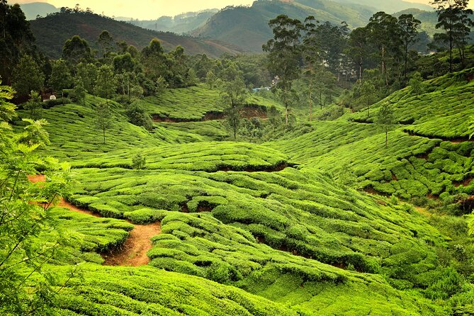 God's Own Country - KERALA (8 Days private trip) - Practical details before you book