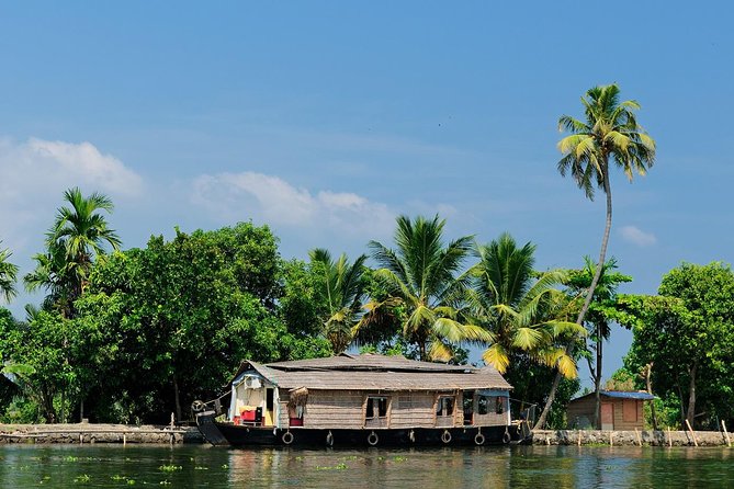 God's Own Country - KERALA (8 Days private trip) - Munnar and the green geometry of tea country