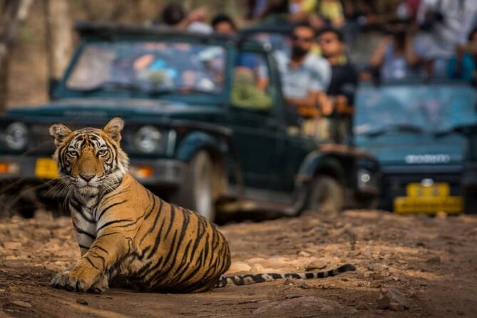 Golden Triangle & Ranthambore: 4-Day Private Tour from Delhi - Key points at a glance