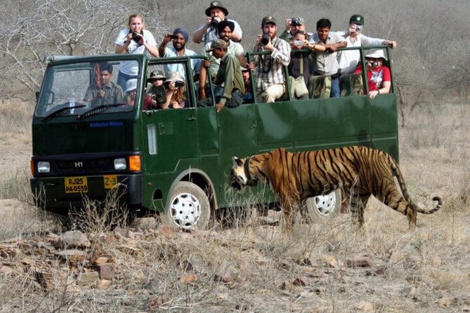 Golden Triangle & Ranthambore: 4-Day Private Tour from Delhi - Who should book this four-day route?