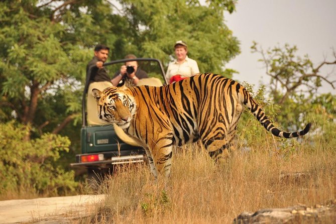 Golden Triangle with Wildlife and Royal Castle Stay - A night at Talabgaon Castle