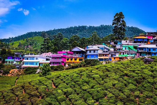 Green Magic Day Tour to Munnar - Is $106.24 per person good value?