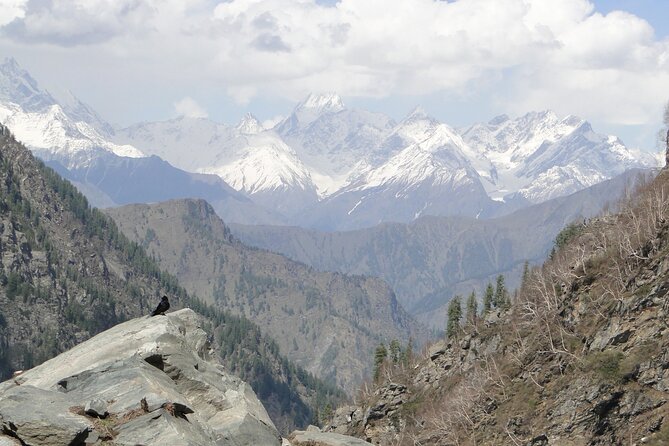 Guided Day Hike to Guna Devi Temple from Mcleodganj - Meeting at Naddi Main Square