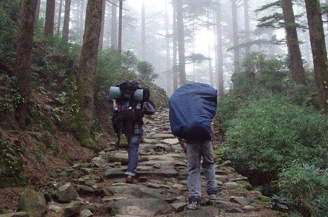 Guided Day Hike to Guna Devi Temple from Mcleodganj - Returning to Naddi after the temple
