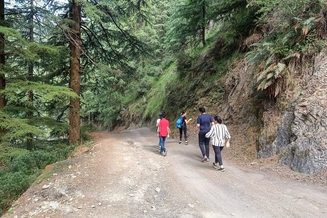 Guided Kora Circuit & Walking Tour Around McLeod Ganj - What the guide adds to a short walk