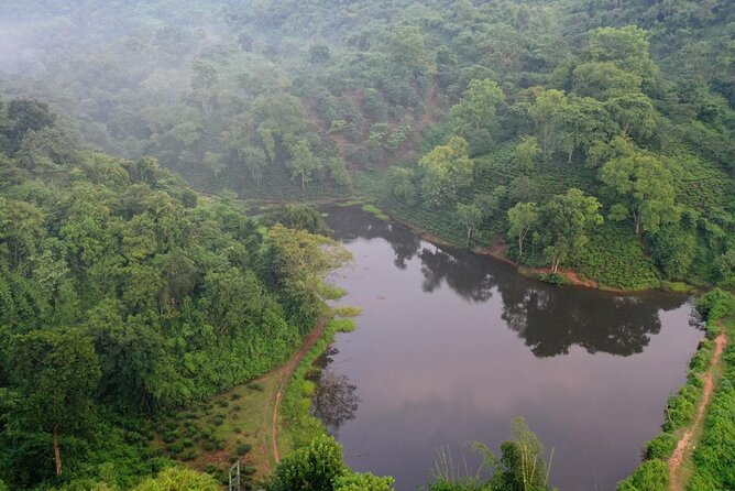 Guwahati Tea Garden Tour with Lunch & Hi Tea (Premium Experience) - Reaching Amchong Tea Estate from Guwahati