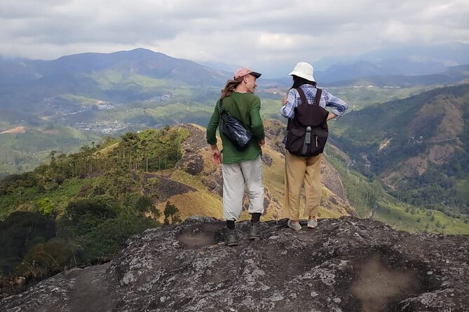 Half Day Hiking in Munnar Trekking Tour - Tea fields, working hills, and the story behind the crop
