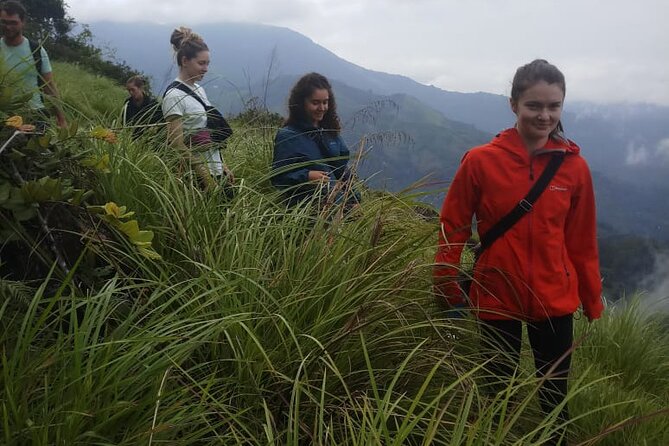 Half Day Hiking in Munnar Trekking Tour - What the guiding style adds