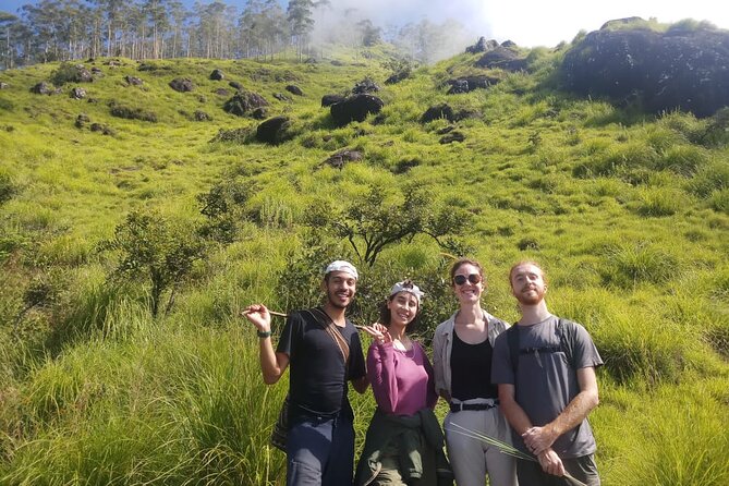 Half Day Hiking in Munnar Trekking Tour - Starting near MG Road and finishing by the KSRTC depot