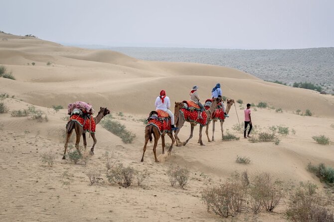 Half Day Sunset Camel Safari Jaisalmer - Key points at a glance
