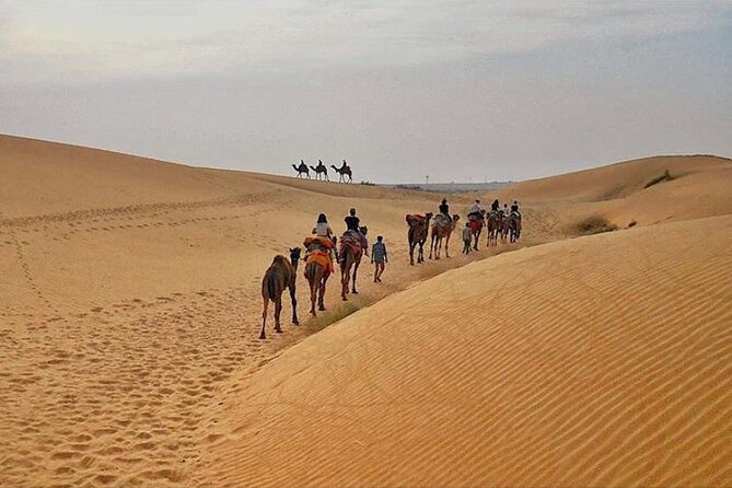 Half Day Sunset Camel Safari Jaisalmer - Leaving Jaisalmer after lunch