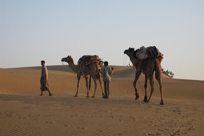 Half-Day Sunset Desert Safari - Sunset over the Thar Desert