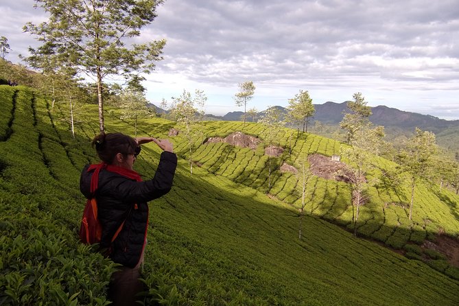 Half day trekking (munnar valley Trekking & Tours ) - Timing, Weather, and Practical Details