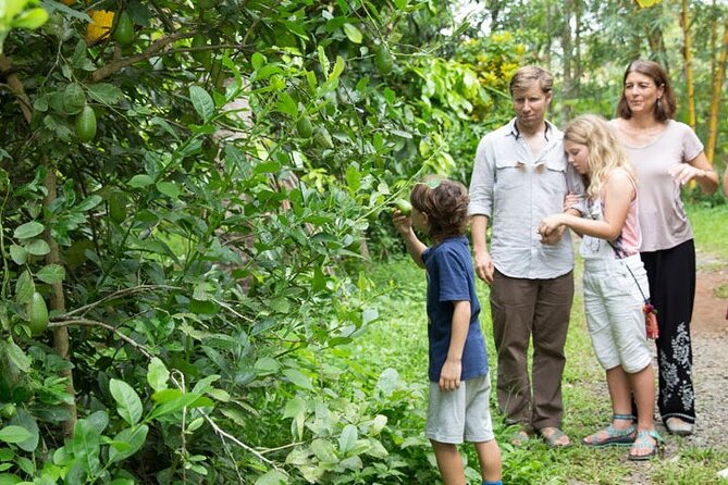 Half Day Village Backwater Eco Country Boat Cruise :Group Tour from Fort Cochin - Three hours on a boat without an engine