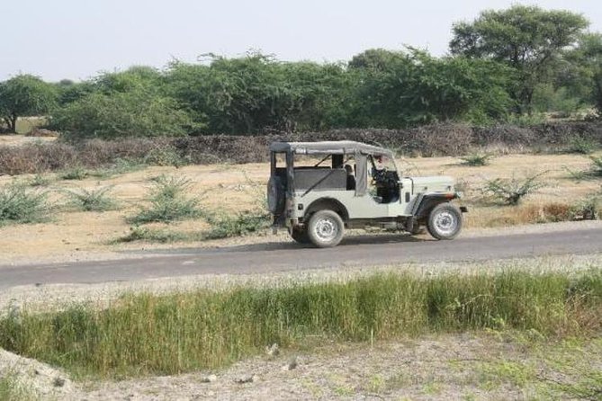 Half Day Village Safari - Meeting Bishnoi villagers and seeing local crafts