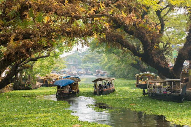 Heritage & Cultural Walk of Alleppey (Guided Walking Tour) - Key things to know before booking