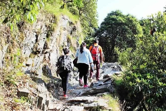 Hiking Day Tour to Triund from Dharamshala - Key points before you book