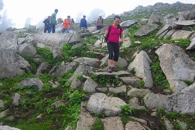 Hiking Day Tour to Triund from Dharamshala - Starting at Main Square or Gallu Devi Temple