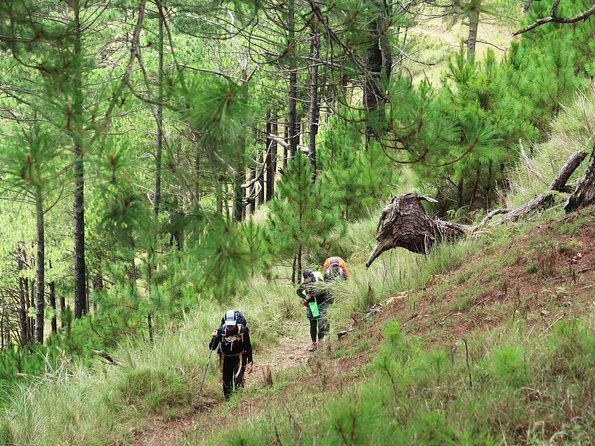 Hiking Day Tour to Triund from Dharamshala - The steep climb to Triund