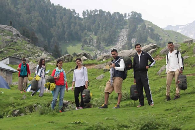 Hiking Day Tour to Triund from Dharamshala - Through oak, rhododendron, and deodar forest