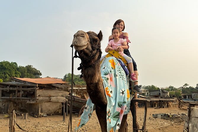 Hill-station & Heritage: Lonavala & Karla Caves Tour from Mumbai - Tiger’s Point and Lion’s Point: big views, short visits