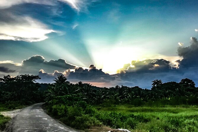 Hinterland Cycling Tour, Havelock - Why this Havelock tour feels different