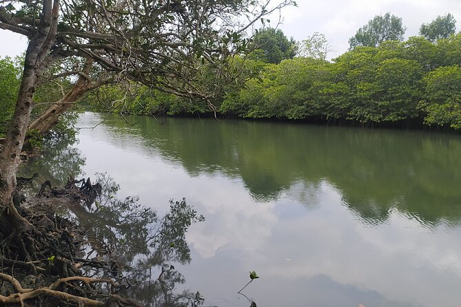 Hinterland Cycling Tour, Havelock - Is $27.23 good value?