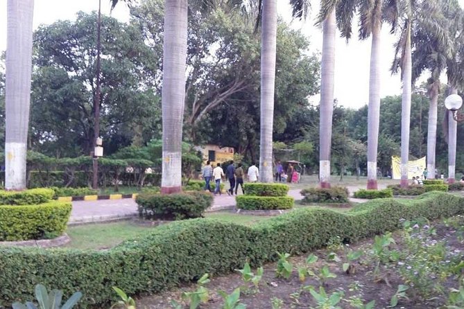 Indore Local Tour - The driver-only format changes the experience