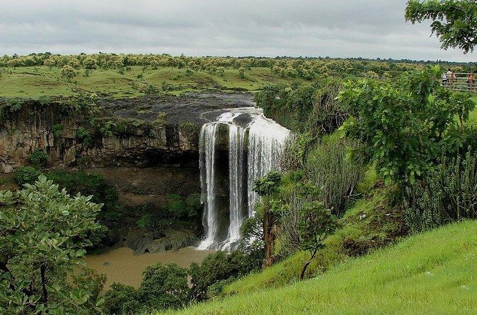 Indore Local Tour - Is $22 good value for Indore?