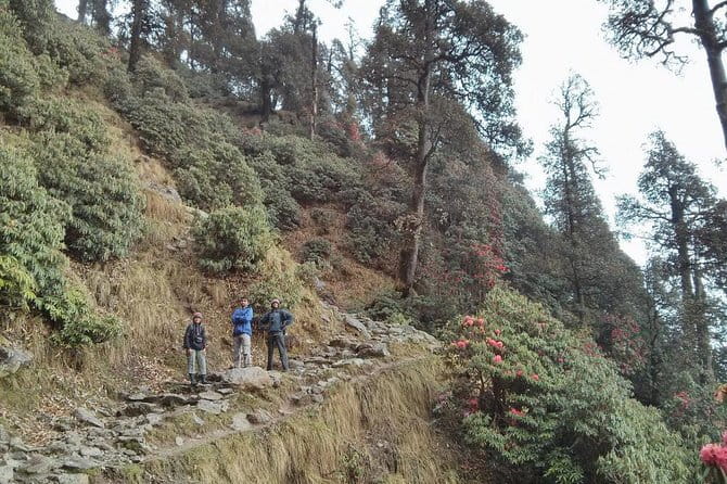 Indrahar Pass Trek with Manu Adventures India - Fitness, altitude, and sensible preparation