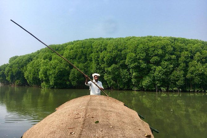 Into the Mangroves: Calicut Mangrove Trail by Tyndis - Key things to know before booking