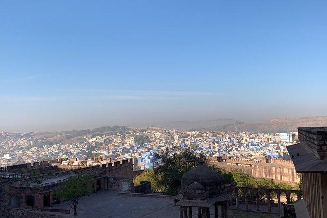 Jain Temple Full-Day Tour from Jodhpur to Udaipur - The driver instead of a formal guide