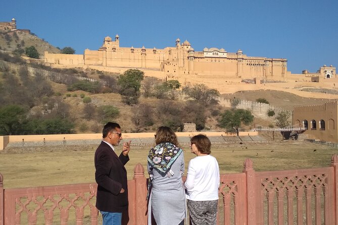 Jaipur 02 Days Private Tour with Vehicle+Professional Chauffeur - Day 1: Amer Fort, stepwells, and Jaipur’s royal center