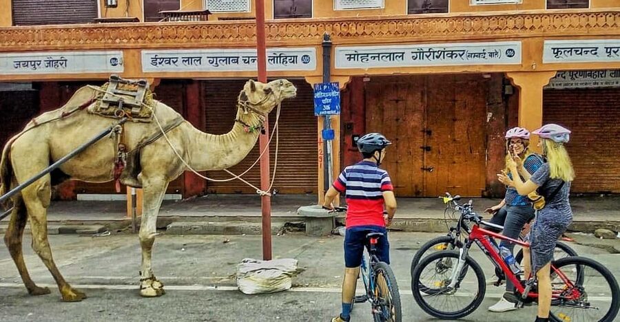 Jaipur: 3-Hour Morning Bike Tour of Jaipur Old City - Laughing yoga and the human side of Jaipur