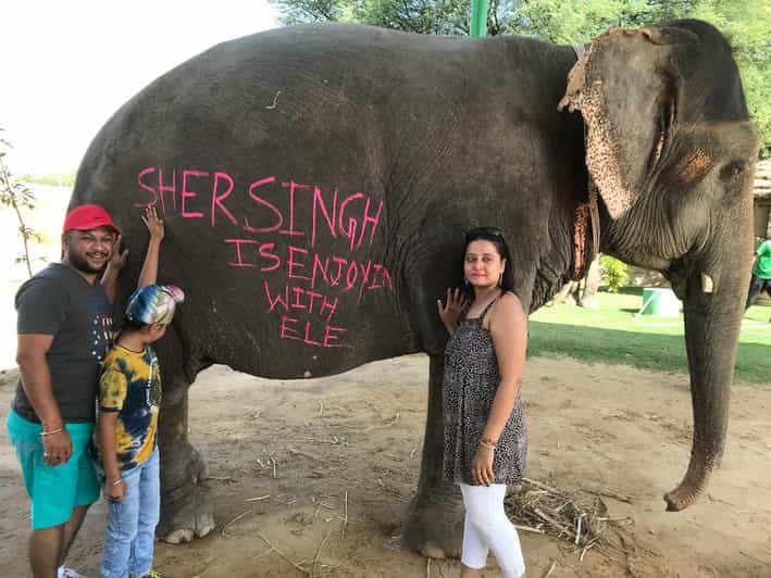 Jaipur: Elephant Interaction Tour - What makes this Jaipur elephant experience special